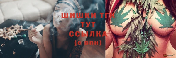 гидра Осташков