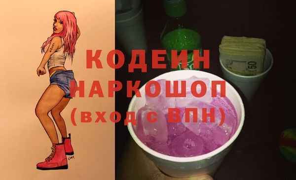 дживик Осинники