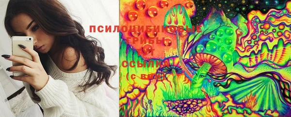 гидра Осташков