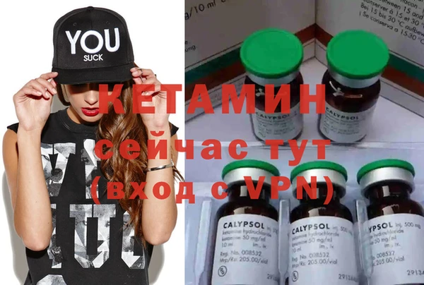 дживик Осинники