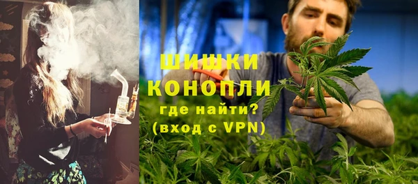 дживик Осинники