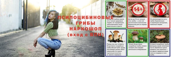 дживик Осинники