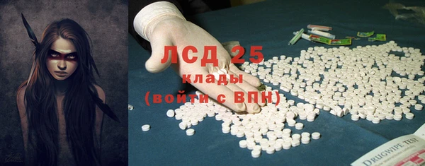 дживик Осинники