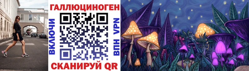 Псилоцибиновые грибы мицелий  Элиста 